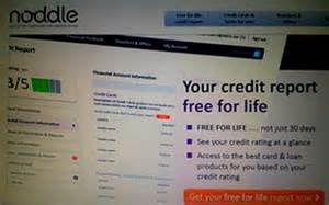 Free Noddle Credit Report