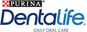 Try Dentalife For Free!