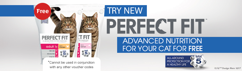 Buy Try New Perfect Fit Advanced Dry Cat Food For 