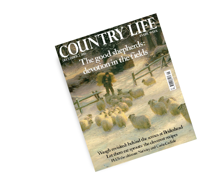 Country Life | Get Your FREE Issue Right Now