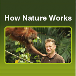 Free BBC1 ‘How Nature Works’ Booklet