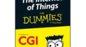 Free Internet For Dummies Book